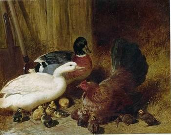 unknow artist Poultry 085 Norge oil painting art